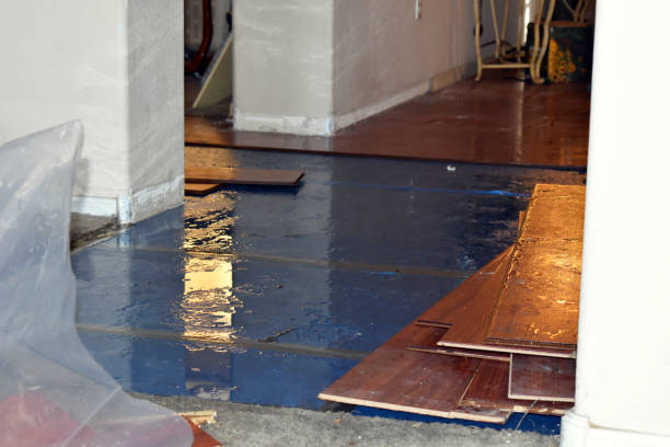Professional Burst Pipe Water Damage technician working in West Barnstable, MA